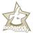 Bodywork Buddy Reviews & Ratings