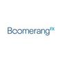 Logo Project BoomerangFX