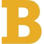 Logo Project Boomity