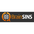 BrainSINS