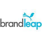 Brandleap Reviews