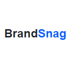 BrandSnag Business Name Generator Reviews
