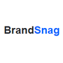 BrandSnag Business Name Generator Reviews