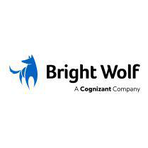 Bright Wolf Industrial IoT Platform Reviews