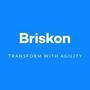 Briskon E-Auction