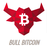 Bull Bitcoin Reviews