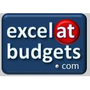 Business Budgeting Software Icon