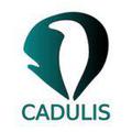 Cadulis