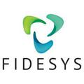 CAE Fidesys