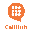 CallHub Icon