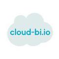 Cloud BI