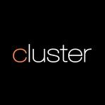 Cluster POS Reviews