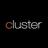 Cluster POS Reviews