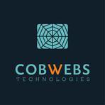 Cobwebs Web Intelligence Reviews