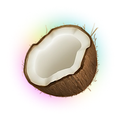 Coconote