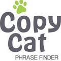 Copy Cat Real Estate Phrase Finder