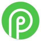 Payid19.com Reviews