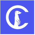 Curious Thing