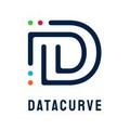 DATACURVE LogicWare