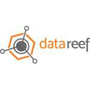 Logo Project DataReef