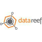 DataReef Reviews