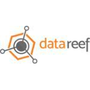 DataReef Icon