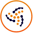 DataSentics Reviews