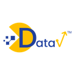 Data V Reviews