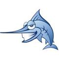 DBmarlin