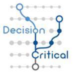 Decision Critical Enterprise Modeling Reviews