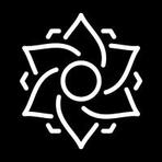 Decompute Blackbird Reviews
