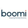 Logo Project Boomi