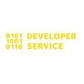 Developer Service