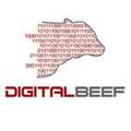 DigitalBeef 