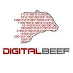 DigitalBeef  Reviews