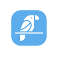 DocParrot