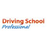 Driving School Professional Reviews