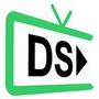 Logo Project DSPlay