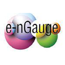 e-nGauge Reviews