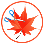 Easy Cut Studio Reviews