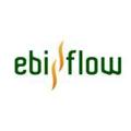 EBIFlow