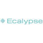 Ecalypse Car Rental Software (Программное Обеспечение Ecalypse Для Аренды Автомобилей) - Программное Обеспечение Для Аренды Автомобилей