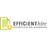 Efficient Hire Reviews