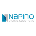 Napino Digital Solutions Reviews