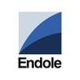 Logo Project Endole Explorer