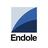 Endole Explorer Reviews
