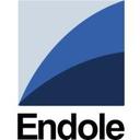 Endole Insight Reviews