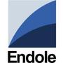 Endole Insight Icon