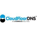 CloudfloorDNS