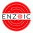 Enzoic Account Takeover Protection Reviews